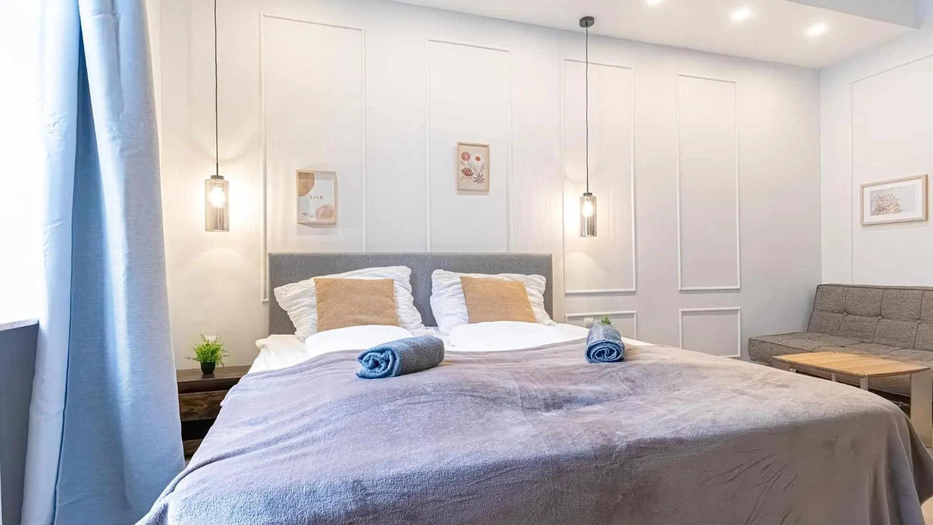 Multiple Apartments And Rooms At The Heart Of Vienne