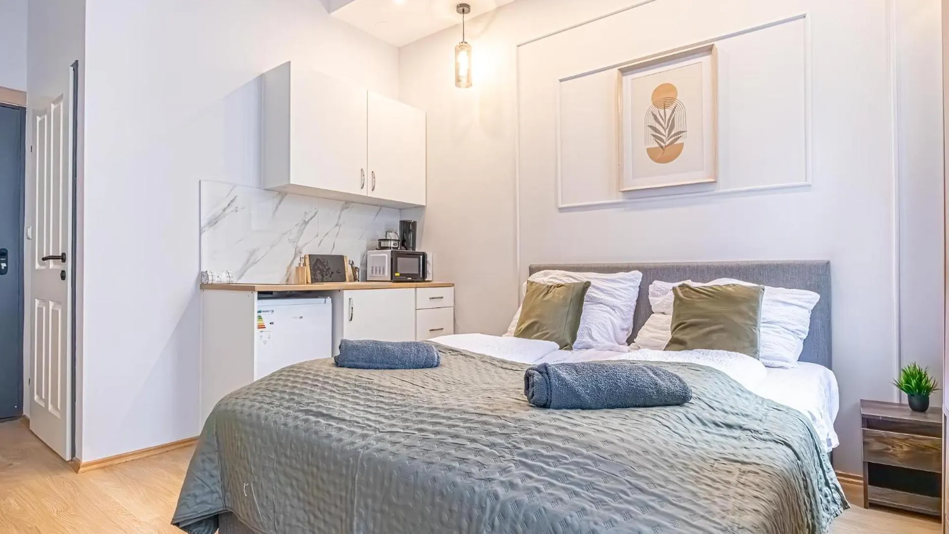 Multiple Apartments And Rooms At The Heart Of Vienna